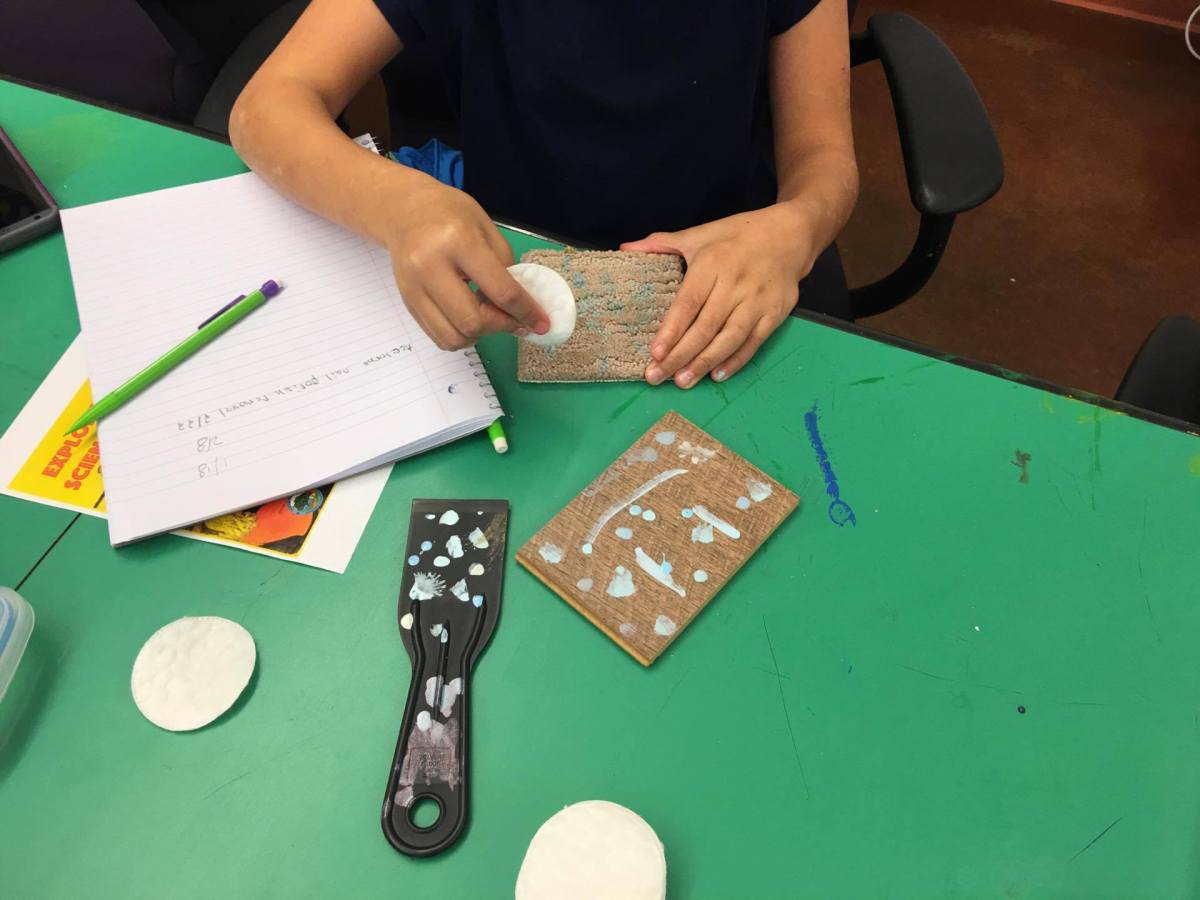 Our first Science Fair Project&nbsp;(SARSEF)!